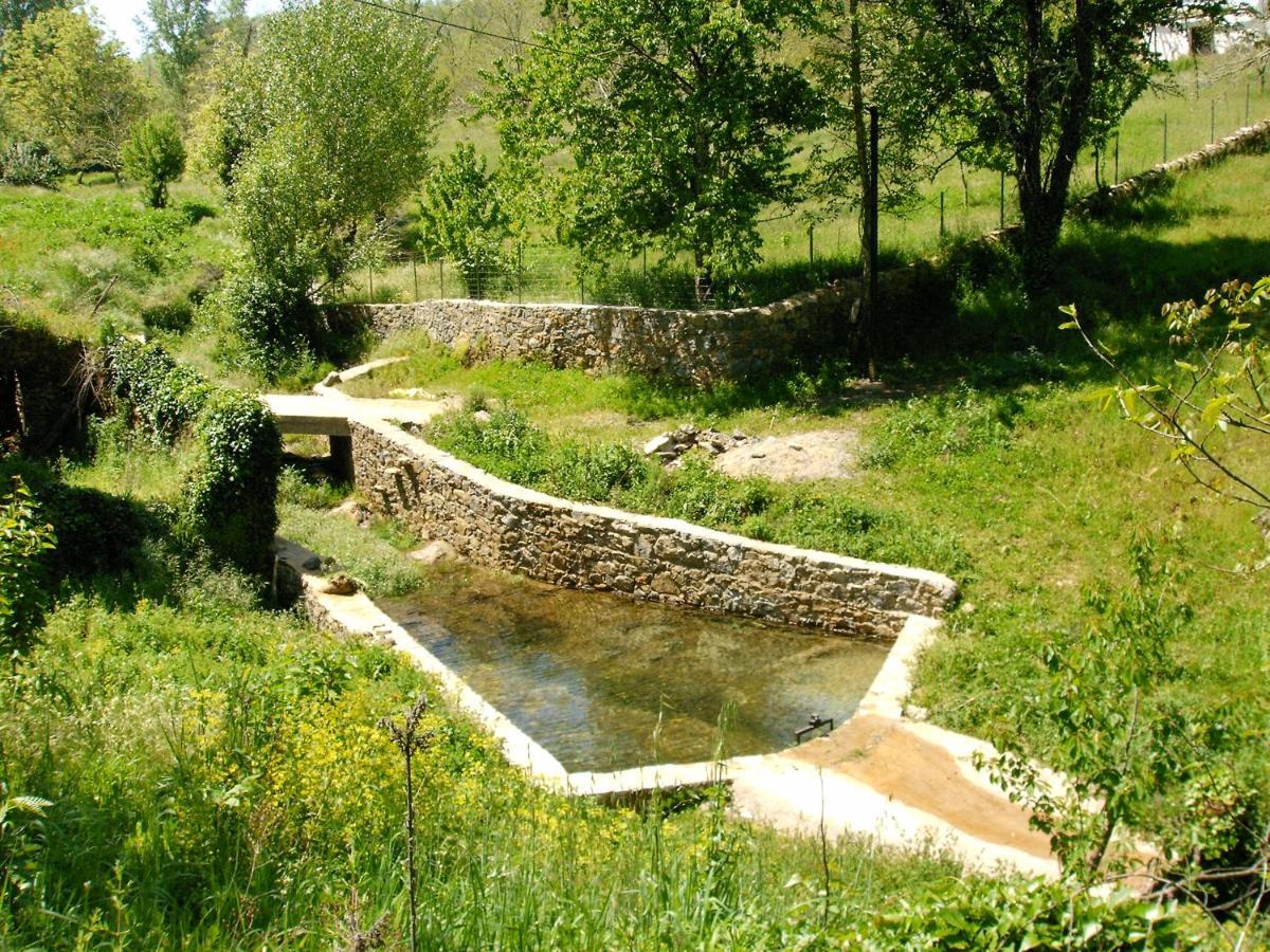 Viviendas Rurales Del Robledo Castano de Robledo Exteriér fotografie