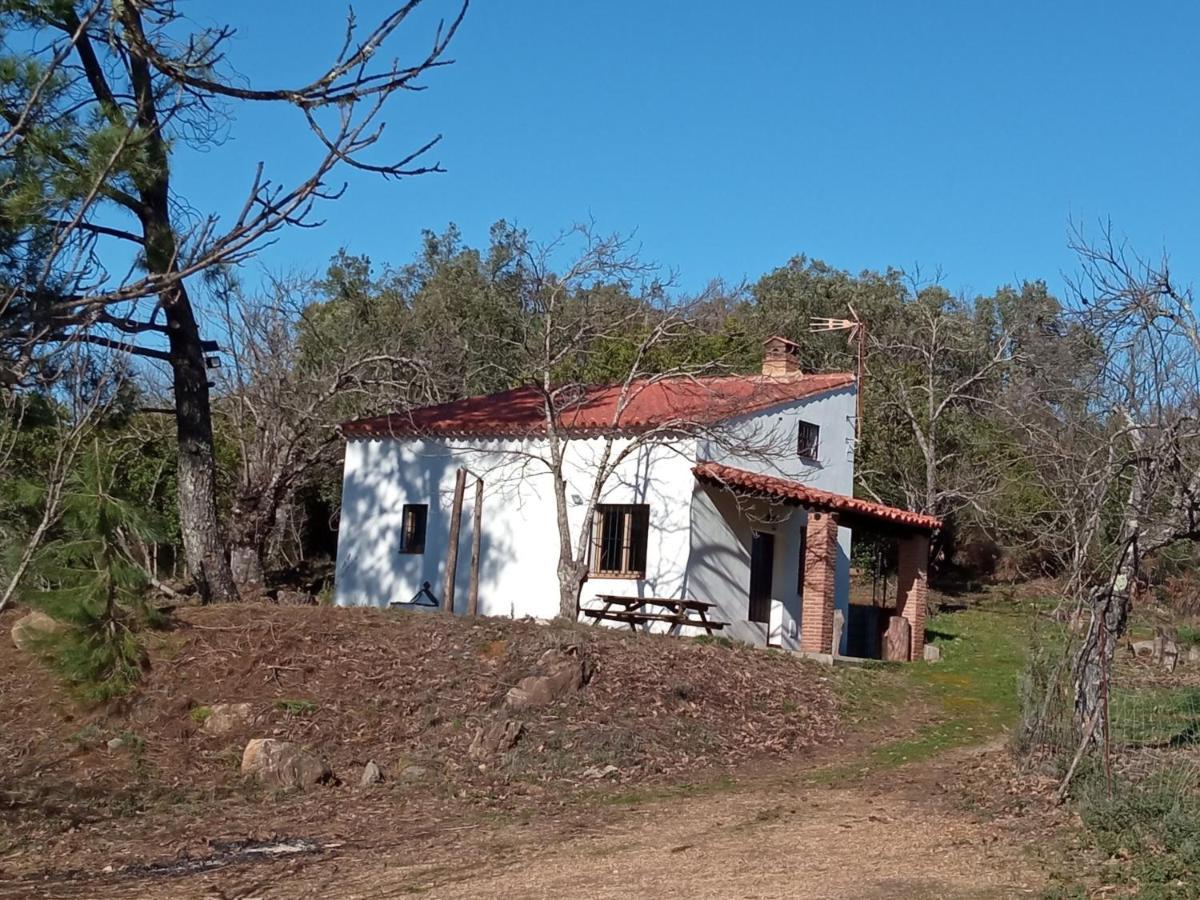 Viviendas Rurales Del Robledo Castano de Robledo Exteriér fotografie