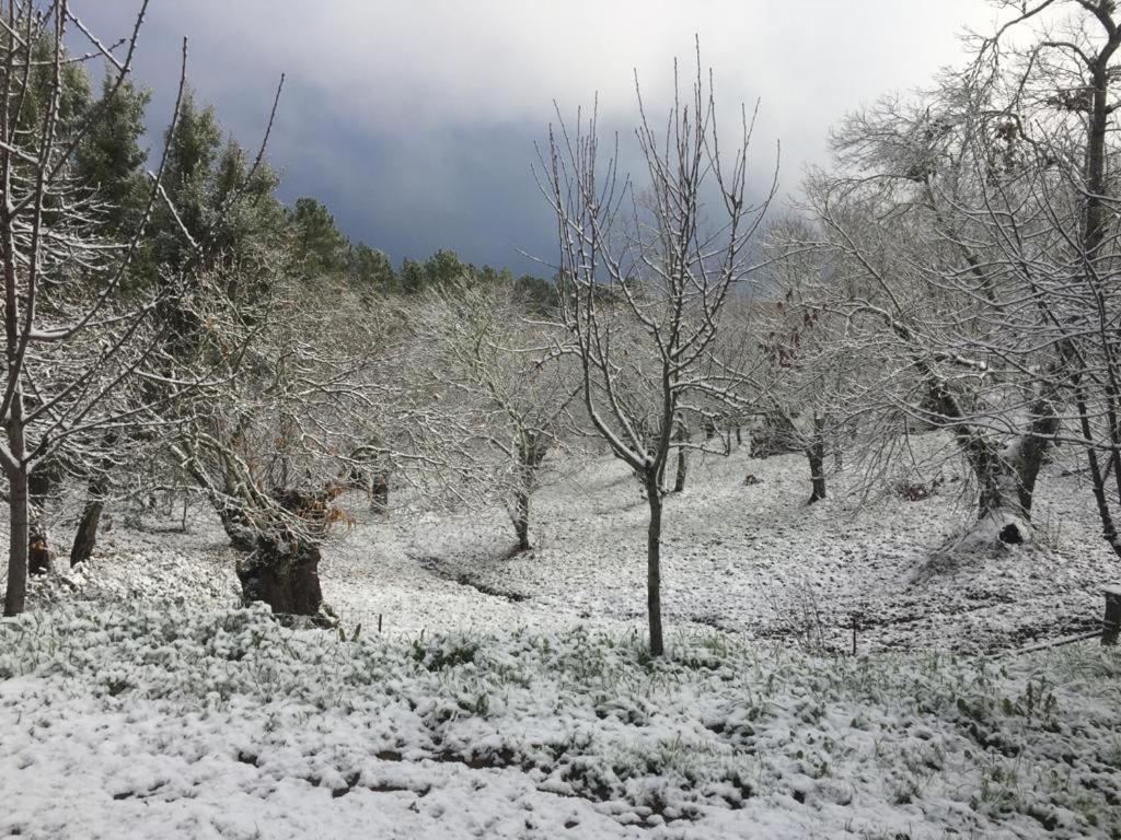 Viviendas Rurales Del Robledo Castano de Robledo Exteriér fotografie